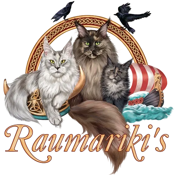 Logo Raumariki's Maine Coon Cattery